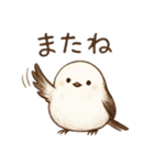 シマエナガのひとこと（個別スタンプ：19）