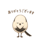 シマエナガのひとこと（個別スタンプ：25）
