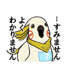癖つよどうぶつ vol.3（個別スタンプ：20）