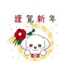 【年末年始】マルチーズ年賀スタンプ再販（個別スタンプ：4）