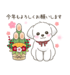 【年末年始】マルチーズ年賀スタンプ再販（個別スタンプ：6）