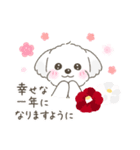 【年末年始】マルチーズ年賀スタンプ再販（個別スタンプ：7）