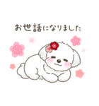 【年末年始】マルチーズ年賀スタンプ再販（個別スタンプ：8）