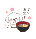 【年末年始】マルチーズ年賀スタンプ再販（個別スタンプ：9）