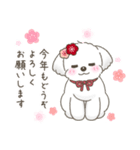 【年末年始】マルチーズ年賀スタンプ再販（個別スタンプ：10）