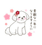 【年末年始】マルチーズ年賀スタンプ再販（個別スタンプ：12）