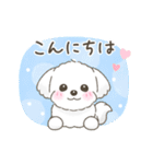 【年末年始】マルチーズ年賀スタンプ再販（個別スタンプ：17）