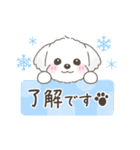 【年末年始】マルチーズ年賀スタンプ再販（個別スタンプ：19）