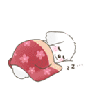 【年末年始】マルチーズ年賀スタンプ再販（個別スタンプ：21）