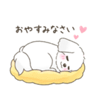 【年末年始】マルチーズ年賀スタンプ再販（個別スタンプ：23）