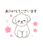 【年末年始】マルチーズ年賀スタンプ再販（個別スタンプ：25）