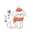 【年末年始】マルチーズ年賀スタンプ再販（個別スタンプ：28）