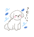 【年末年始】マルチーズ年賀スタンプ再販（個別スタンプ：29）
