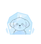【年末年始】マルチーズ年賀スタンプ再販（個別スタンプ：30）