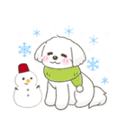 【年末年始】マルチーズ年賀スタンプ再販（個別スタンプ：32）
