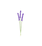気ままな花のある日々（個別スタンプ：16）