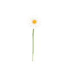 気ままな花のある日々（個別スタンプ：21）