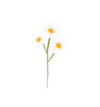 気ままな花のある日々（個別スタンプ：22）