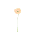 気ままな花のある日々（個別スタンプ：23）