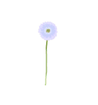 気ままな花のある日々（個別スタンプ：24）
