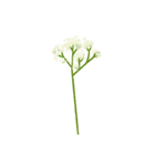 気ままな花のある日々（個別スタンプ：27）