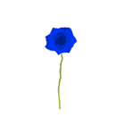 気ままな花のある日々（個別スタンプ：32）
