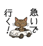 にゃんソレ！？スタンプ（個別スタンプ：13）
