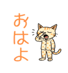 にゃんソレ！？スタンプ（個別スタンプ：16）