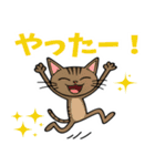 にゃんソレ！？スタンプ（個別スタンプ：19）