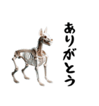 骨まで愛して（犬）1（個別スタンプ：4）