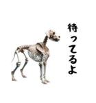 骨まで愛して（犬）1（個別スタンプ：14）