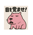 かぴばらですがなにか？（個別スタンプ：6）