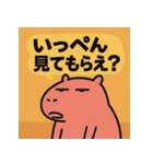 かぴばらですがなにか？（個別スタンプ：11）