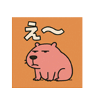 かぴばらですがなにか？（個別スタンプ：16）
