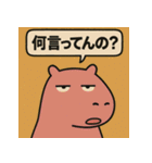 かぴばらですがなにか？（個別スタンプ：20）