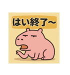 かぴばらですがなにか？（個別スタンプ：24）