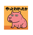 かぴばらですがなにか？（個別スタンプ：26）