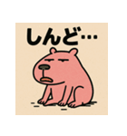 かぴばらですがなにか？（個別スタンプ：39）