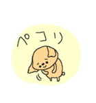 レッドミニチュアダックスフンド（個別スタンプ：12）