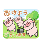 子ブタ3きょうだい15  昭和レトロあるある（個別スタンプ：1）