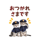 毎日使える♪リアルなにゃんこ2（個別スタンプ：5）