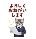 毎日使える♪リアルなにゃんこ2（個別スタンプ：11）
