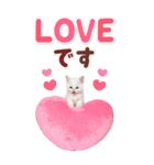 毎日使える♪リアルなにゃんこ2（個別スタンプ：24）