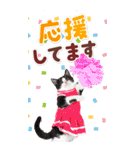 毎日使える♪リアルなにゃんこ2（個別スタンプ：25）
