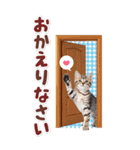 毎日使える♪リアルなにゃんこ2（個別スタンプ：30）
