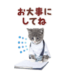 毎日使える♪リアルなにゃんこ2（個別スタンプ：33）