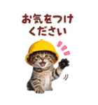 毎日使える♪リアルなにゃんこ2（個別スタンプ：35）