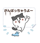 なかよしコンビのねこさん【メッセージ】（個別スタンプ：13）