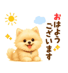 ポメラニアン好きのためのかわいい日常（個別スタンプ：1）