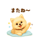 ポメラニアン好きのためのかわいい日常（個別スタンプ：5）